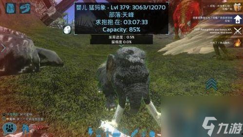 方舟手游重置版最新爆料,全新升级,探索未知世界 第2张 方舟手游重置版最新爆料,全新升级,探索未知世界 第2张